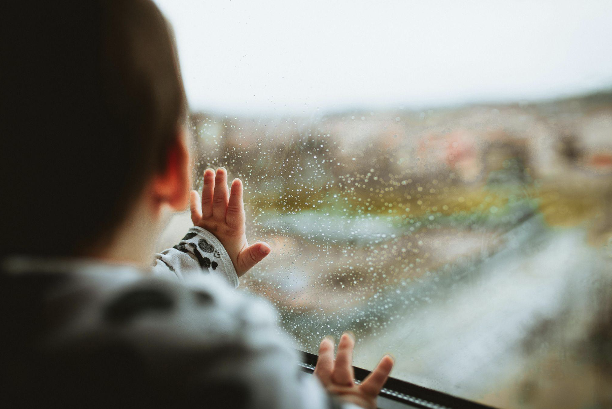 Versatile Stroller Wagons for Fall Adventures